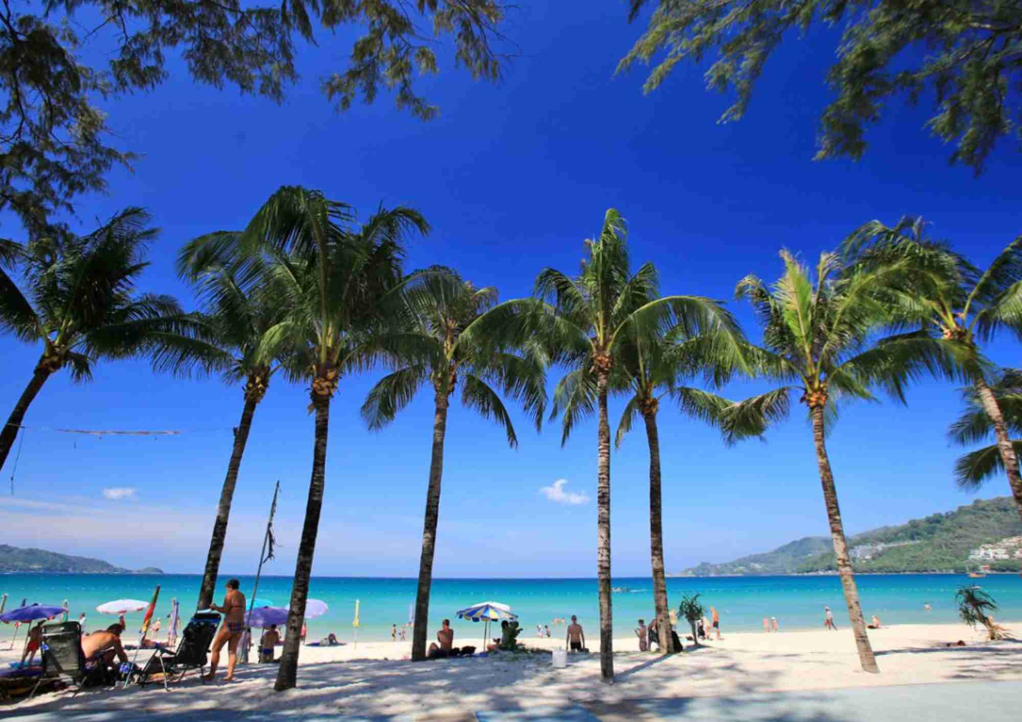 Beach with palm trees