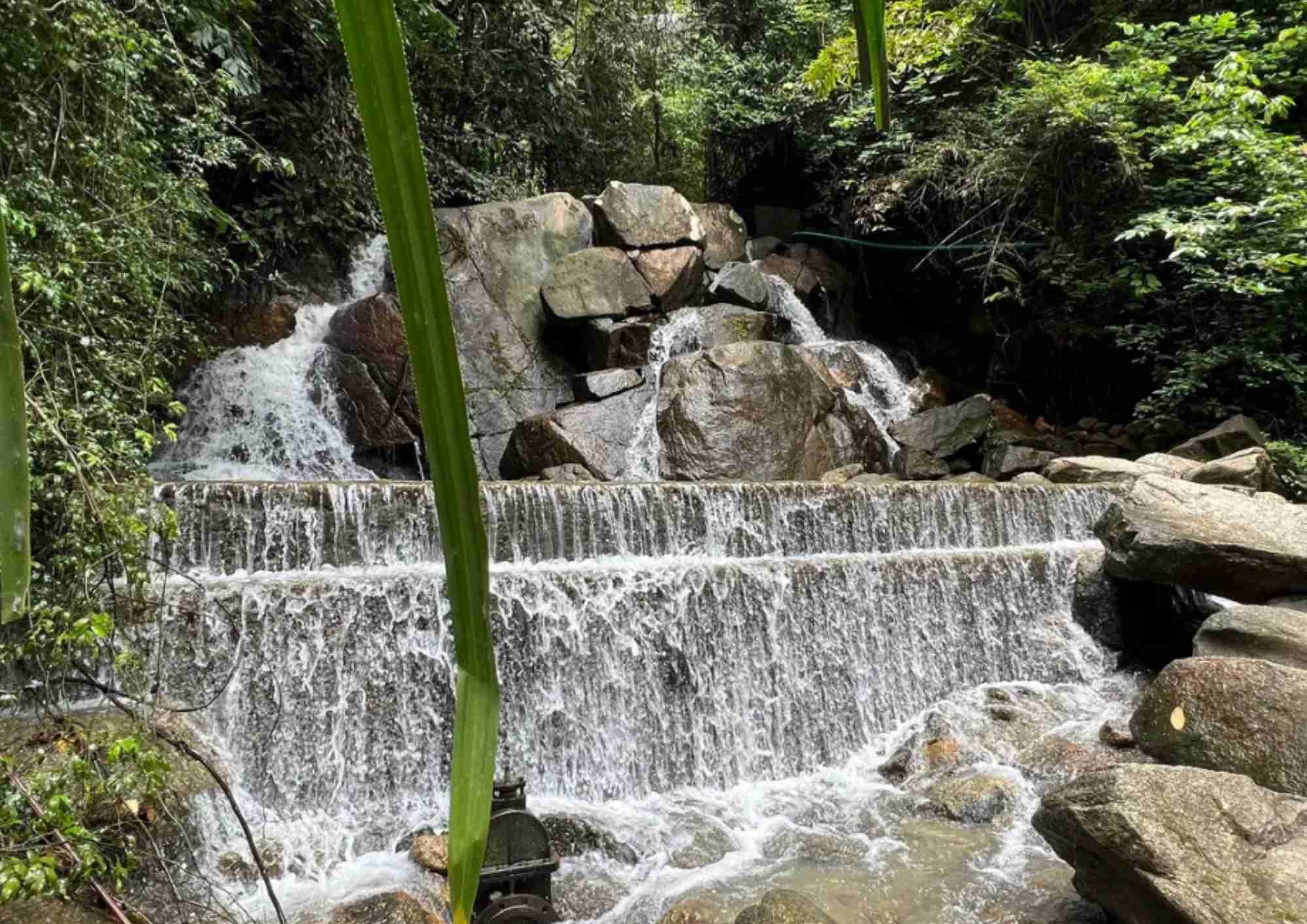Waterfall in forest